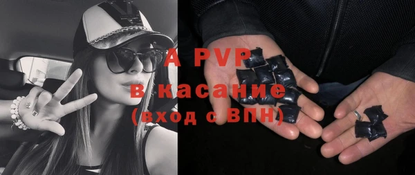 трава Магас
