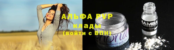 трава Магас