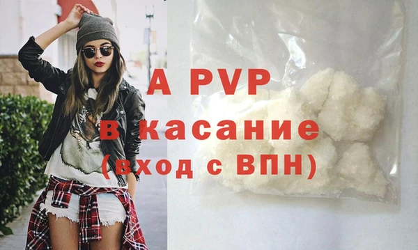 трава Магас