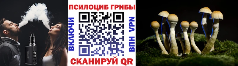 дарнет шоп Нефтегорск Псилоцибиновые грибы мухоморы